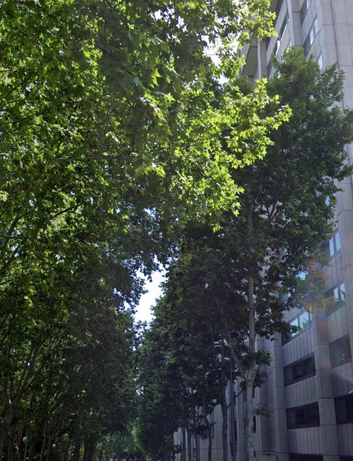 Bernabeu, Luxury Y Luminoso Apartamento Entero 마드리드 외부 사진