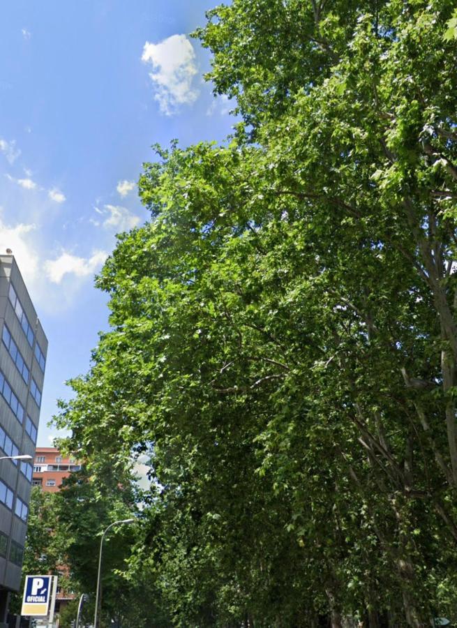 Bernabeu, Luxury Y Luminoso Apartamento Entero 마드리드 외부 사진